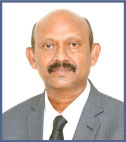 faculty